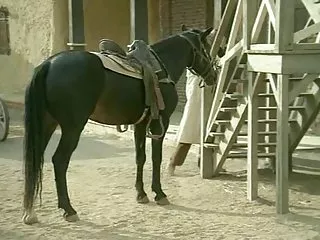 Video di sesso il gioco online rocco e i mercenari (rocco